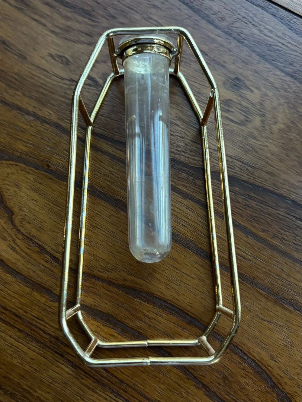 Gold Geometric Single-Stem Vase with Clear Glass Tube